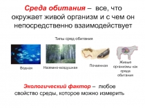 Среда обитания – все, что окружает живой организм и с чем он непосредственно