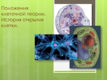 Положения клеточной теории. История открытия клетки