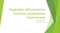 Кадровое обеспечение системы управления персоналом