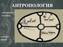 АНТРОПОЛОГИЯ