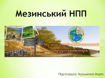 Мезинський НПП