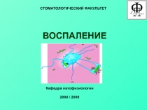 ВОСПАЛЕНИЕ
СТОМАТОЛОГИЧЕСКИЙ ФАКУЛЬТЕТ
Кафедра патофизиологии
2008 / 2009