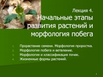 Лекция 4. Начальные этапы развития растений и морфология побега
