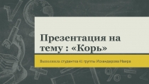 : Корь