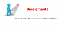 Bioelements