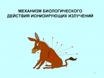 МЕХАНИЗМ БИОЛОГИЧЕСКОГО ДЕЙСТВИЯ ИОНИЗИРУЮЩИХ ИЗЛУЧЕНИЙ