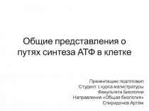 Общие представления о путях синтеза АТФ в клетке