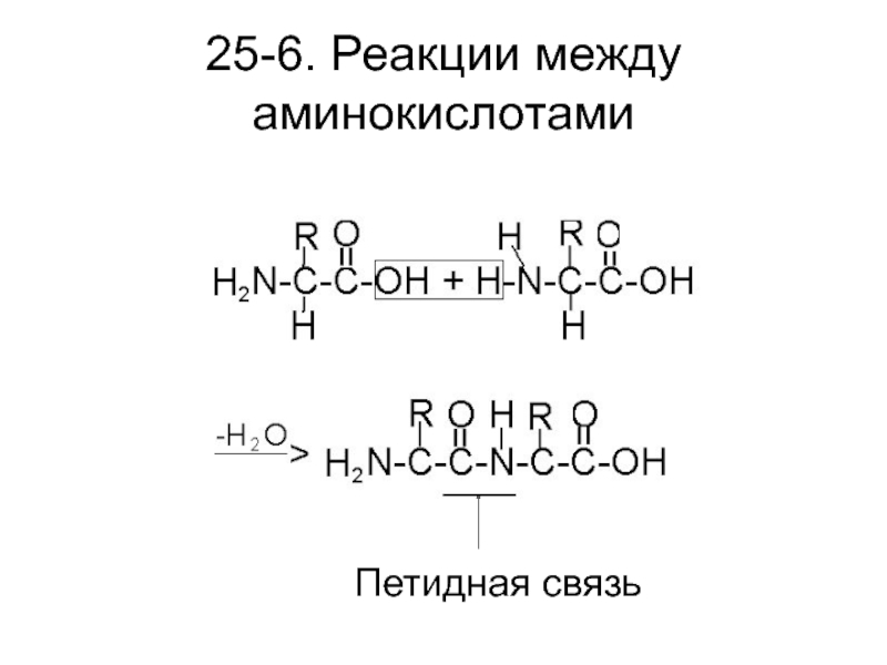 Рассмотрите предложенную схему реакции между аминокислотами запишите в ответ