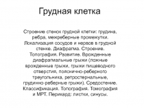 Грудная клетка