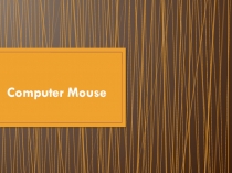 Computer Mouse