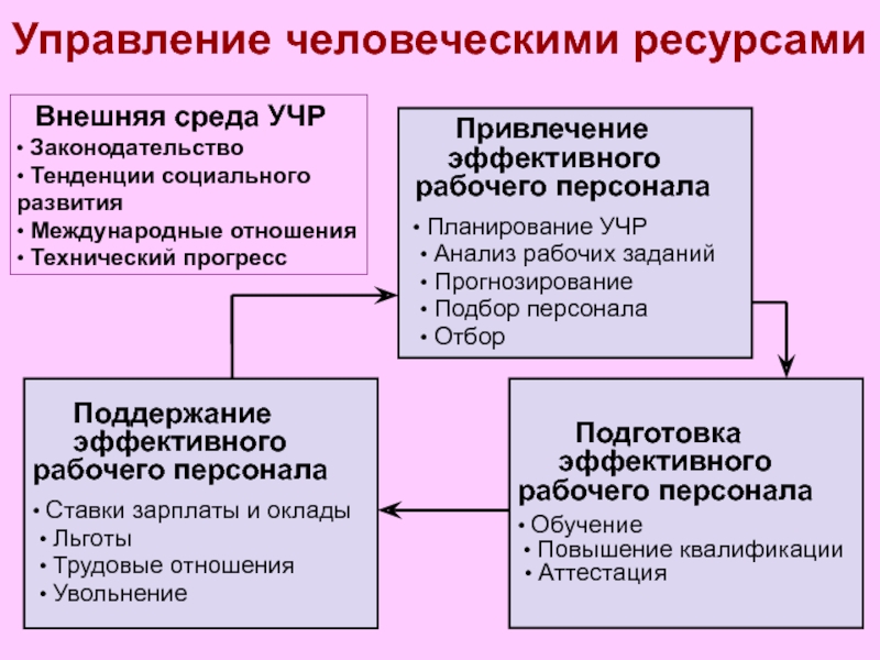 Процессы управления человеческими ресурсами проекта