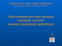 Рентгендиагностика органов грудной клетки мелких домашних животных
 Diagnosis