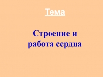 Тема