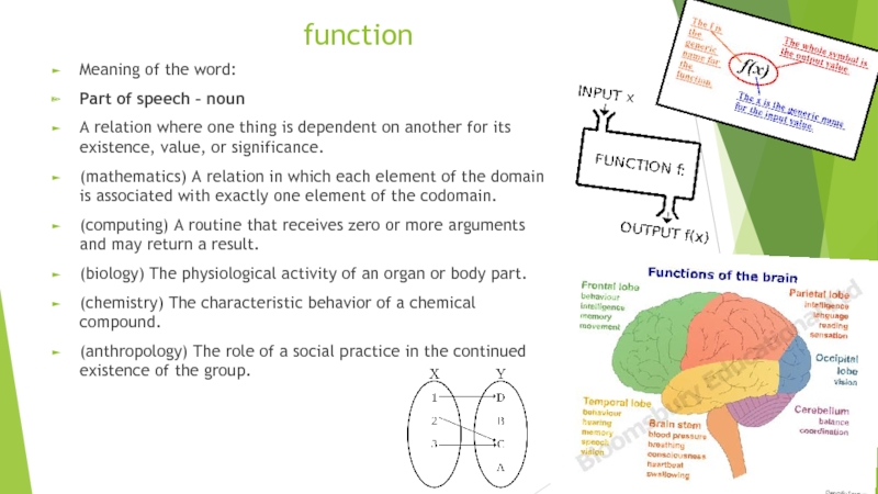 functionMeaning of the word:Part of speech – nounA relation where one thing is dependent on another for