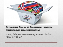 Вступление России во Всемирную торговую организацию: плюсы и минусы