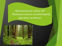 Практикалық сабақ №5
Фитоценоздағы өсімдіктердің ярустық жіктелуі