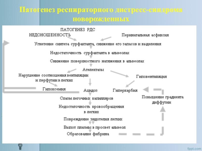 Респираторный дистресс синдром новорожденных презентация