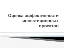 Оценка эффективности инвестиционных проектов