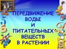 Передвижение воды
И
Питательных веществ
В растении