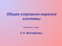 Общее строение нервной системы