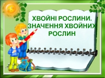 ХВОЙНІ РОСЛИНИ. ЗНАЧЕННЯ ХВОЙНИХ РОСЛИН