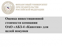 Оценка инвестиционной стоимости компании ОАО АБЗ-4 Капотня для целей покупки