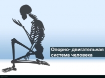 Опорно- двигательная система человека