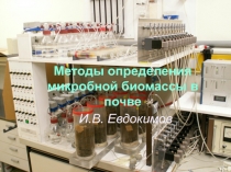Методы определения микробной биомассы в почве
И.В. Евдокимов