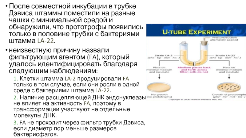 Минимальная среда. Трубка Дэвиса. ПРОТОТРОФЫ это микробиология. Трубка Дэвиса методика анализа.