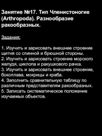 Занятие №17. Тип Членистоногие ( Arthropoda ). Разнообразие