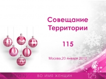 Совещание Территории 115 Москва,20 января 2012