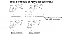Total Synthesis of Aplysiasecosterol A