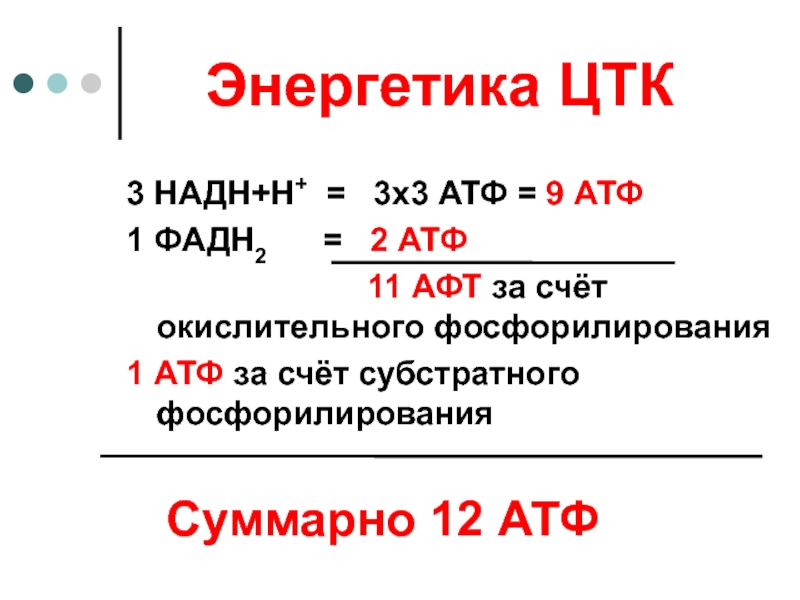 Аккумуляторы атф