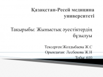 Қазақстан-Ресей медицина университеті