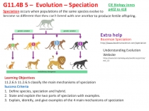 G11.4B 5 – Evolution – Speciation
Learning Objectives
11.2.6.5 11.2.6.5