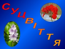 С
У
Ц
В
І
Т
Т
Я