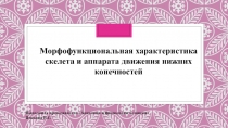 Морфофункциональная характеристика скелета и аппарата движения нижних