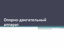 Опорно-двигательный аппарат