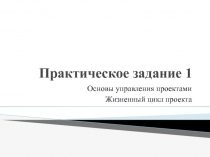 Практическое задание 1