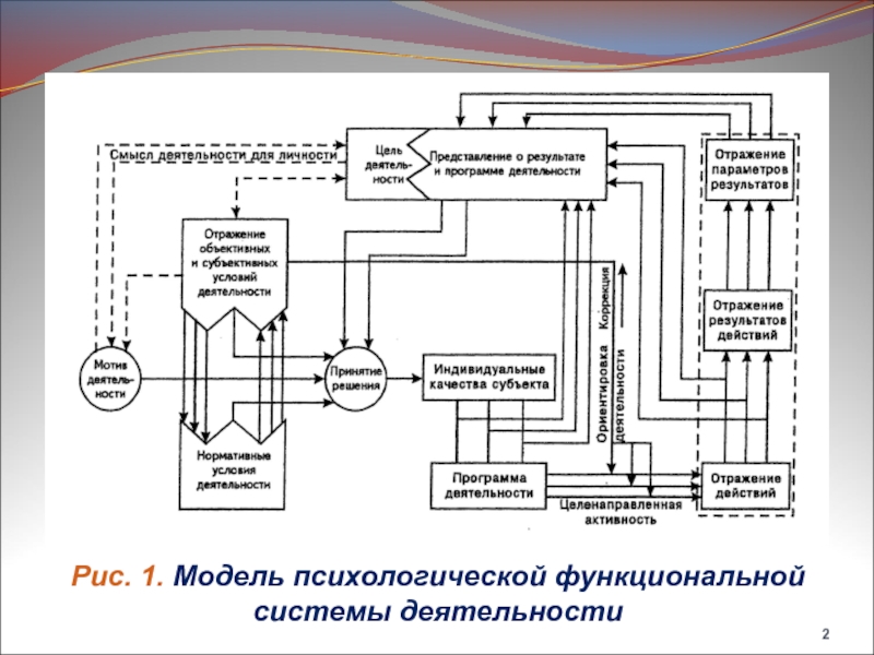 Система активности. Психологическая система деятельности. Деятельность функциональной системы. Функциональная система это в психологии. Функциональных блоков психологической системы деятельности..