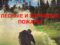 ЛЕСНЫЕ И ТОРФЯНЫЕ ПОЖАРЫ