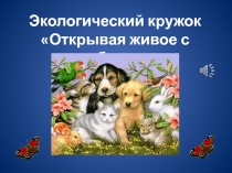 Экологический кружок
Открывая живое с любовью