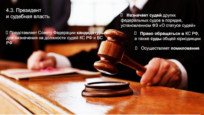 Реферат: Конституционно-правовой статус Президента по закону РСФСР от 24 апреля 1991 года