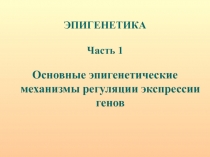 ЭПИГЕНЕТИК А
Часть 1
Основные эпигенетические механизмы регуляции экспрессии