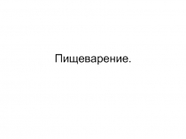 Пищеварение