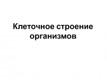 Клеточное строение организмов