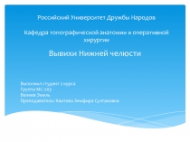 Российский Университет Дружбы Народов Кафедра топографической анатомии и