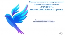 Орган ученического самоуправления Совета Старшеклассников СИНЕРГ МБОУ ПСШ №2