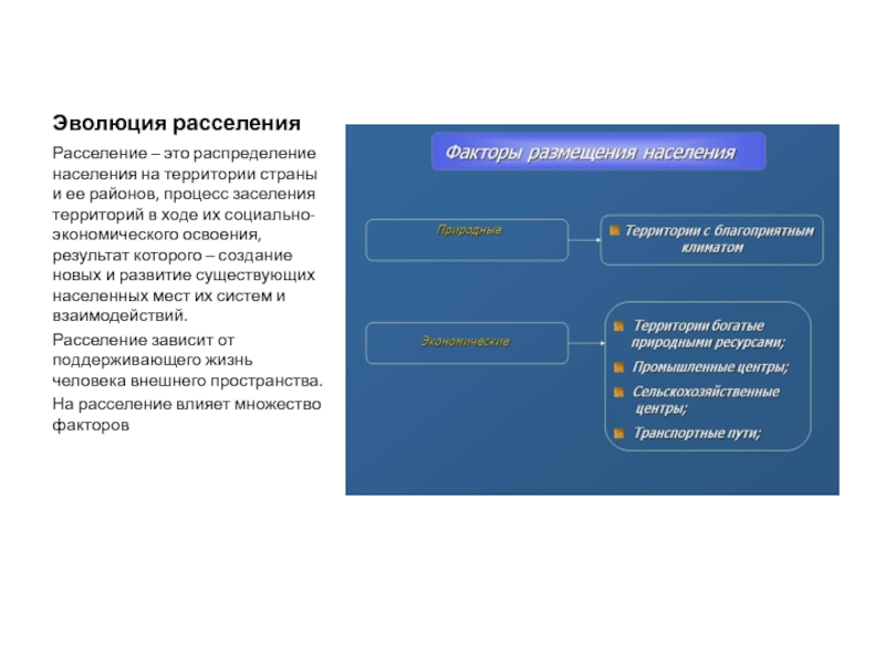 Система расселения населения