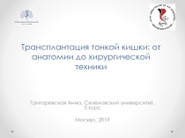 Трансплантация тонкой кишки: от анатомии до хирургической техники